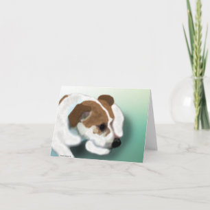 Carte Mélange de Jack Russell