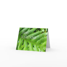 Mele Kalikimaka Joyeux Noël