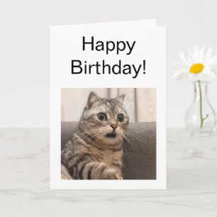 Carte Mème de chat Shocked Card plié