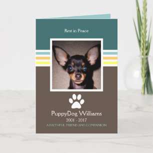 carte mémoire mod pet loss