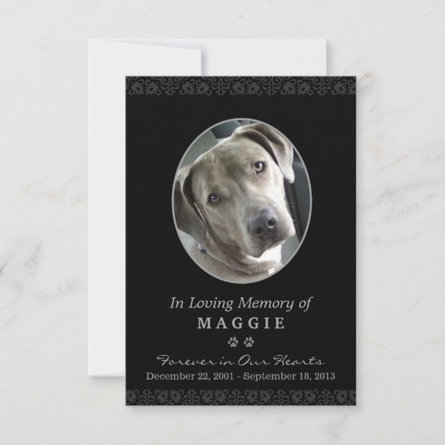 Carte Mémorial pour animaux de compagnie 3,5 po x  (Devant)