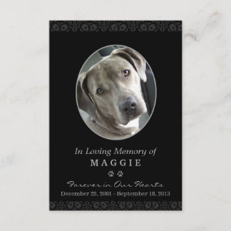 Carte Mémorial pour animaux de compagnie 3,5 po x