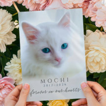 Mémorial pour chat perte animale À jamais dans nos