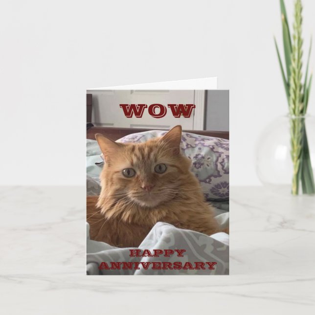 CARTE MEOWING CAT DIT **HEUREUX ANNIVERSAIRE À VOUS** CA (Devant)