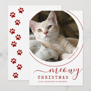Carte Meowy Christmas Chat Kitten Photo Blanc