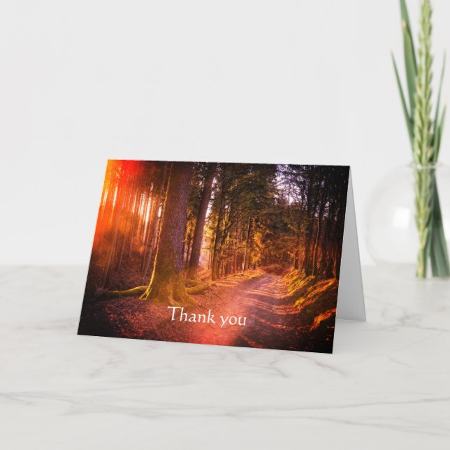 Carte Merci Belle forêt sauvage sentier coucher du solei (Devant)
