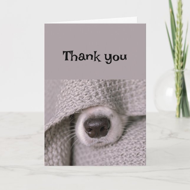 Carte Merci Chien Funny Chien Nez (Devant)