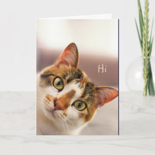 Carte Merci Cute Chat Kitten Animal Card