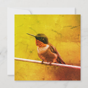 Carte Merci de colibri