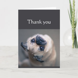 Carte Merci d'être si merveilleux Carlin amusant chien a