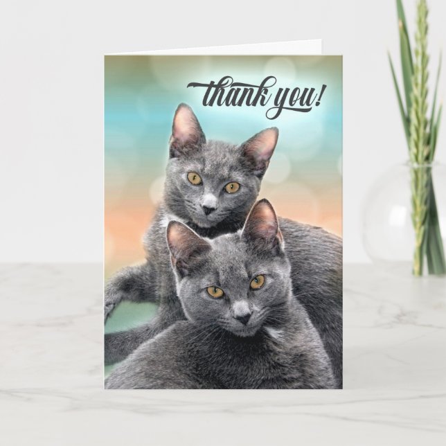 Carte Merci deux chats gris (Devant)