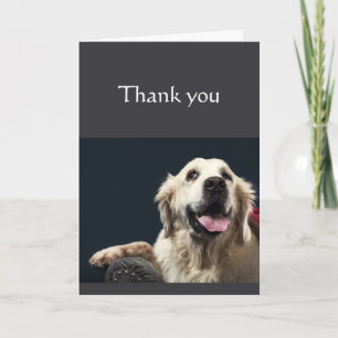 Carte Merci n'aurait pas pu le faire sans Vous Fun Dog