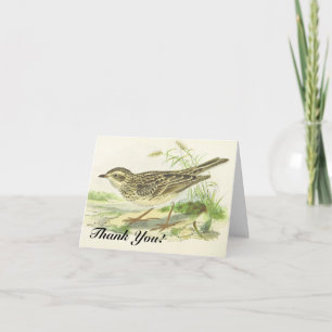 Carte "Merci !", Oiseau debout sur le sol