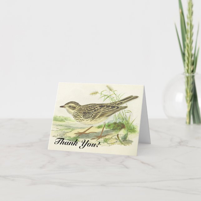 Carte "Merci !", Oiseau debout sur le sol (Devant)