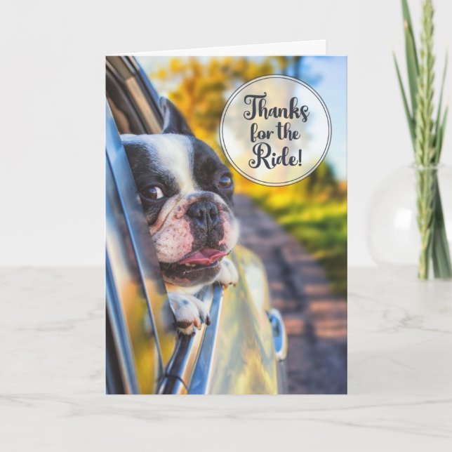 Carte Merci pour le Ride Cute Dog dans une fenêtre de vo (Devant)