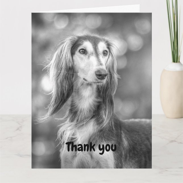 Carte Merci Saluki (Devant)