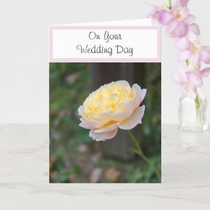 Carte Mercredi Souhaite Rose rose Jaune