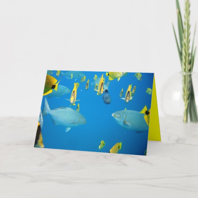 Carte Mermaids (Devant)