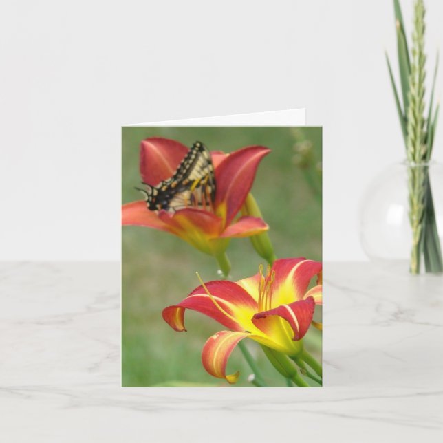 Carte Merveilles au-delà (Devant)