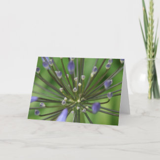 Carte merveilleuse d'Agapanthus