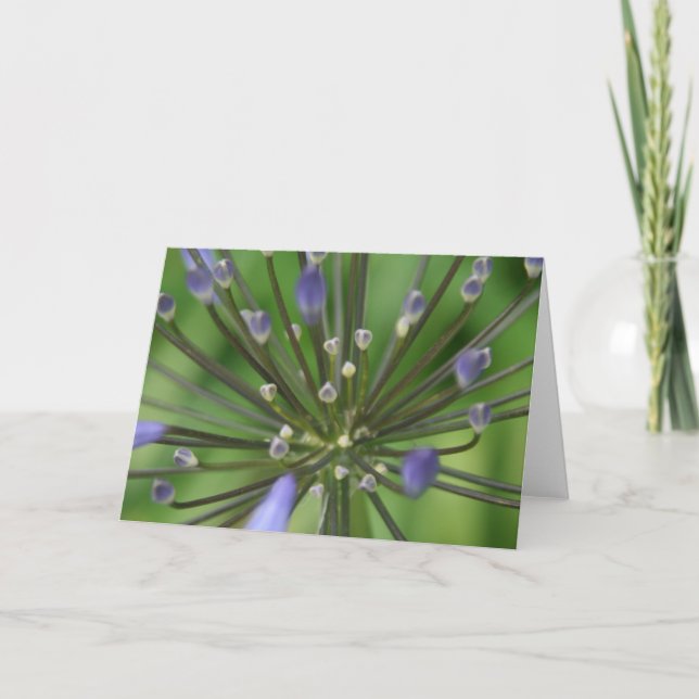 Carte merveilleuse d'Agapanthus (Devant)
