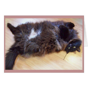 Carte merveilleuse de jour