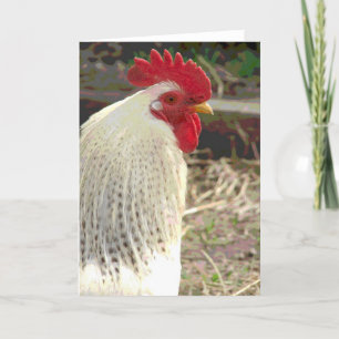 Carte Merveilleux Coq 2
