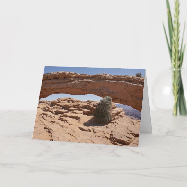 Carte Mesa Arch et Tumbleweed aux Canyonlands (Devant)
