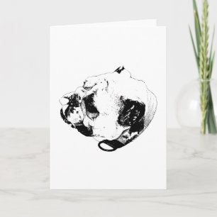 Carte Message Chaleureux Stable