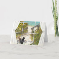 Message spécial ami Chats et Ocean Anniversaire