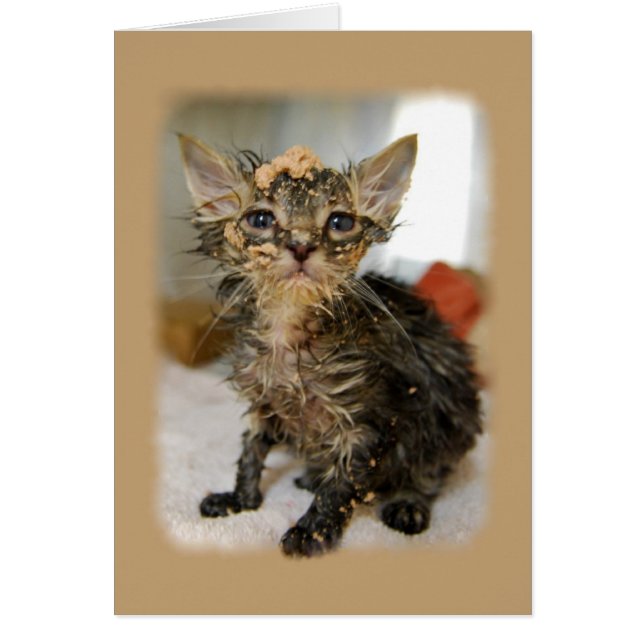 Carte Messy Kitten (Devant)