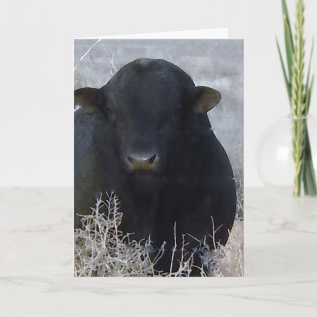 Carte Mete Graduation Félicitations Ranch Farm Bull (Devant)