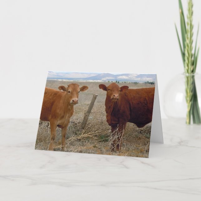 Carte Mete Vet Graduation Félicitations Ranch Farm DVM (Devant)