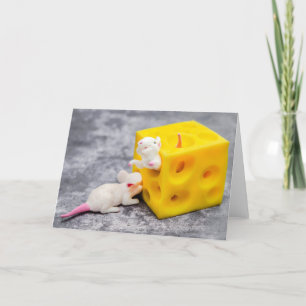 Carte Mice on Cheese Funny Toys Greeting Card