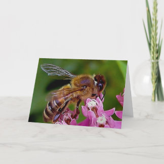 Carte Miel Bee