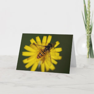 Carte Miel cool abeille sur la fleur dans la nature Phot