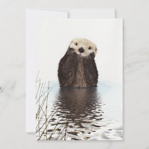 Carte Mignon adorable loutre duveteuse animal