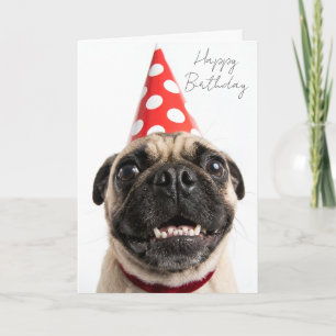 Carte Mignon Pug Joyeux Anniversaire en Chapeau de Fête