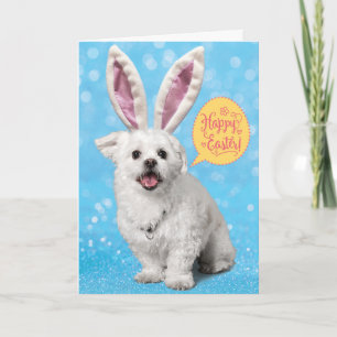 Carte Mignonne Chiot Portant Des Oeufs-Tri Des Oreilles 