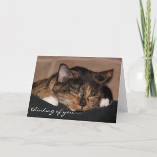 Carte mignonne de chat de sommeil, pensant à vous…