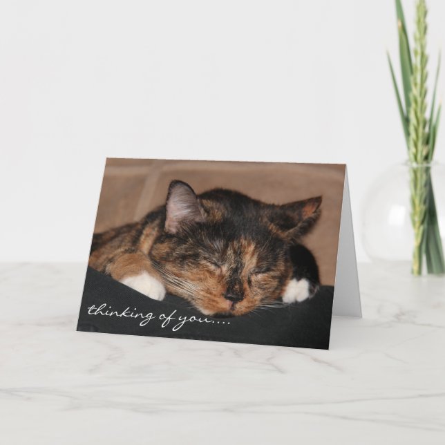 Carte mignonne de chat de sommeil, pensant à vous… (Devant)