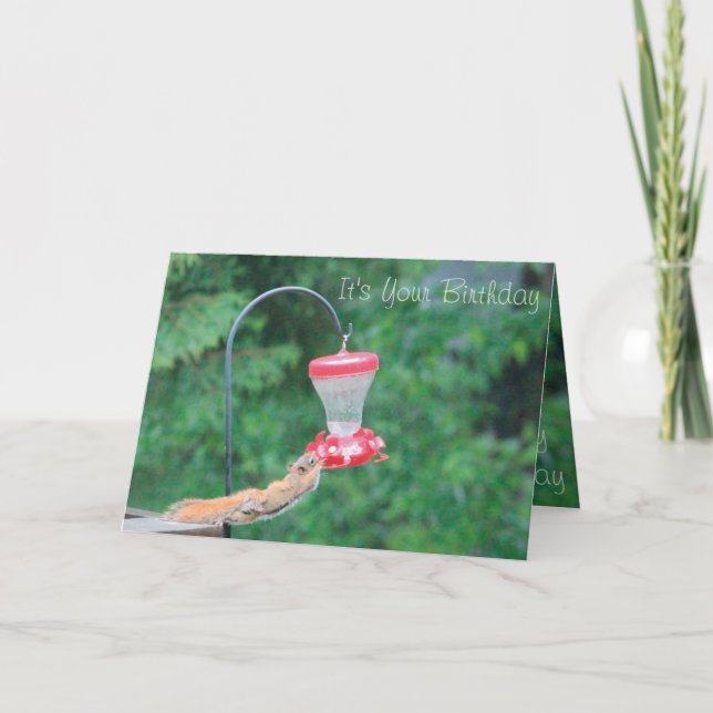 Carte Mignonne et capricieuse (Devant)