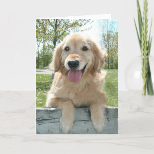 Carte Mignonne Golden Retriever Chien sur la clôture Pen