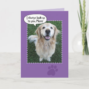 Carte Mignonne Golden Retriever Mère's Day Card