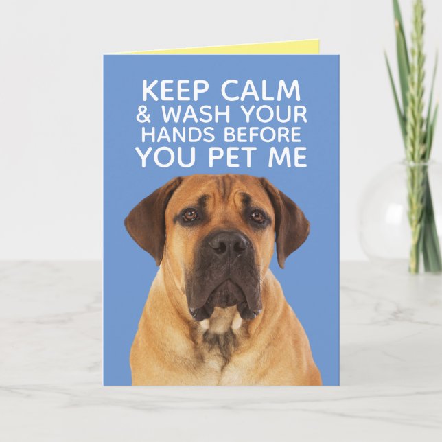 Carte Mignonne Mastiff Anglais Restant Calme Laver Les M (Devant)