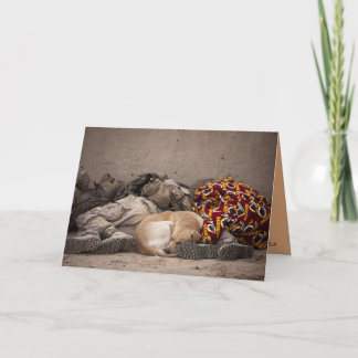 Carte militaire et chien Inspiration