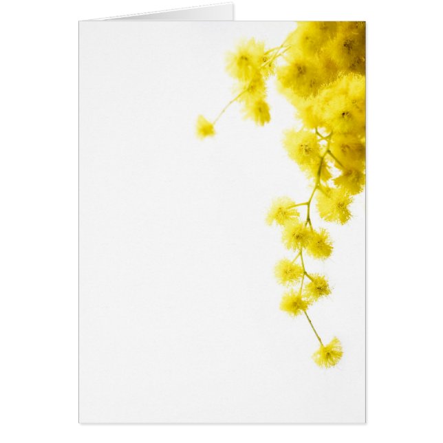 Carte Mimosa (Devant)