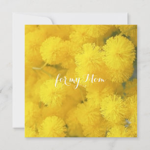 Carte Mimosa. Fleurs de printemps jaunes.