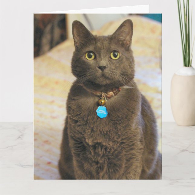 Carte Mims (Devant)