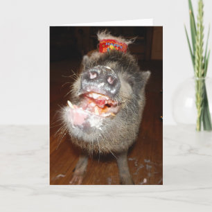 Carte Mini Cochon Personnalisé Joyeux Anniversaire